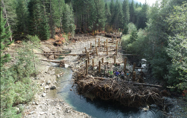 Kachess_Logjam6