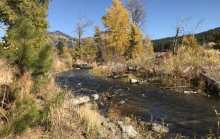 Swauk Creek Instream and Riparian