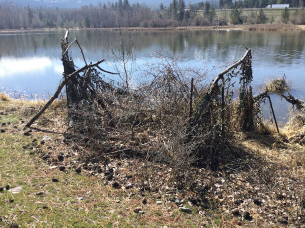 Old Duck Hunting Blind