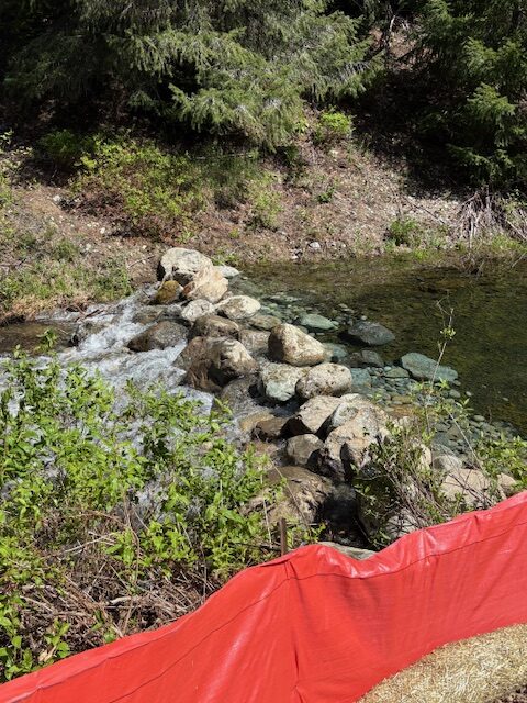 GoldCreek_FishExclusion