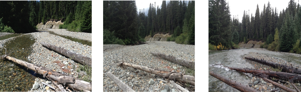 Gold Creek Dewatering Potopoint