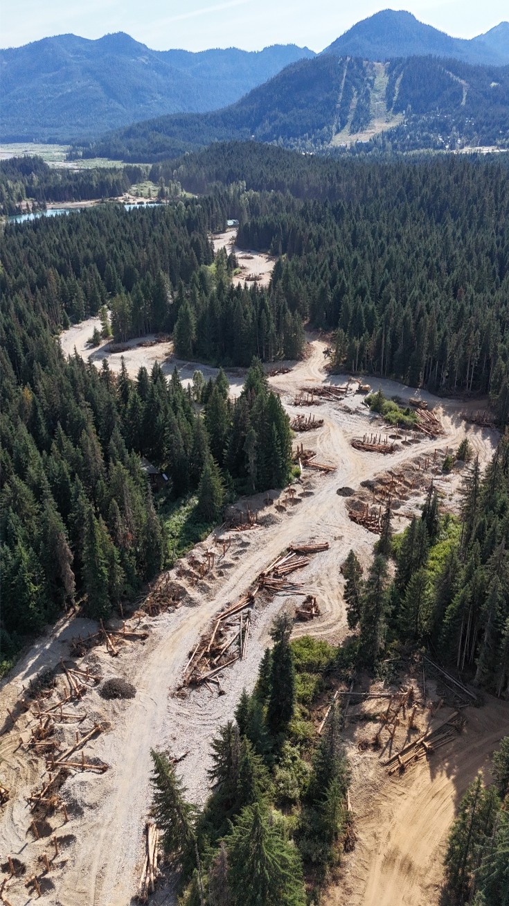 Gold Creek ELJ Construction
